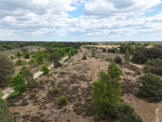 Luftaufnahme einer weitläufigen Heidelandschaft mit sandigen Wegen, trockenem Heidebewuchs und locker verteilten Bäumen. Im Hintergrund erstreckt sich ein dichter Wald, am Horizont sind Windräder zu erkennen. Der Himmel ist leicht bewölkt mit blauen Abschnitten.